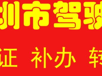 深圳汽車一站式服務指南 代辦過戶、年檢、綠標、違章咨詢與車險辦理